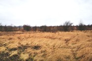 MORZYCZYN